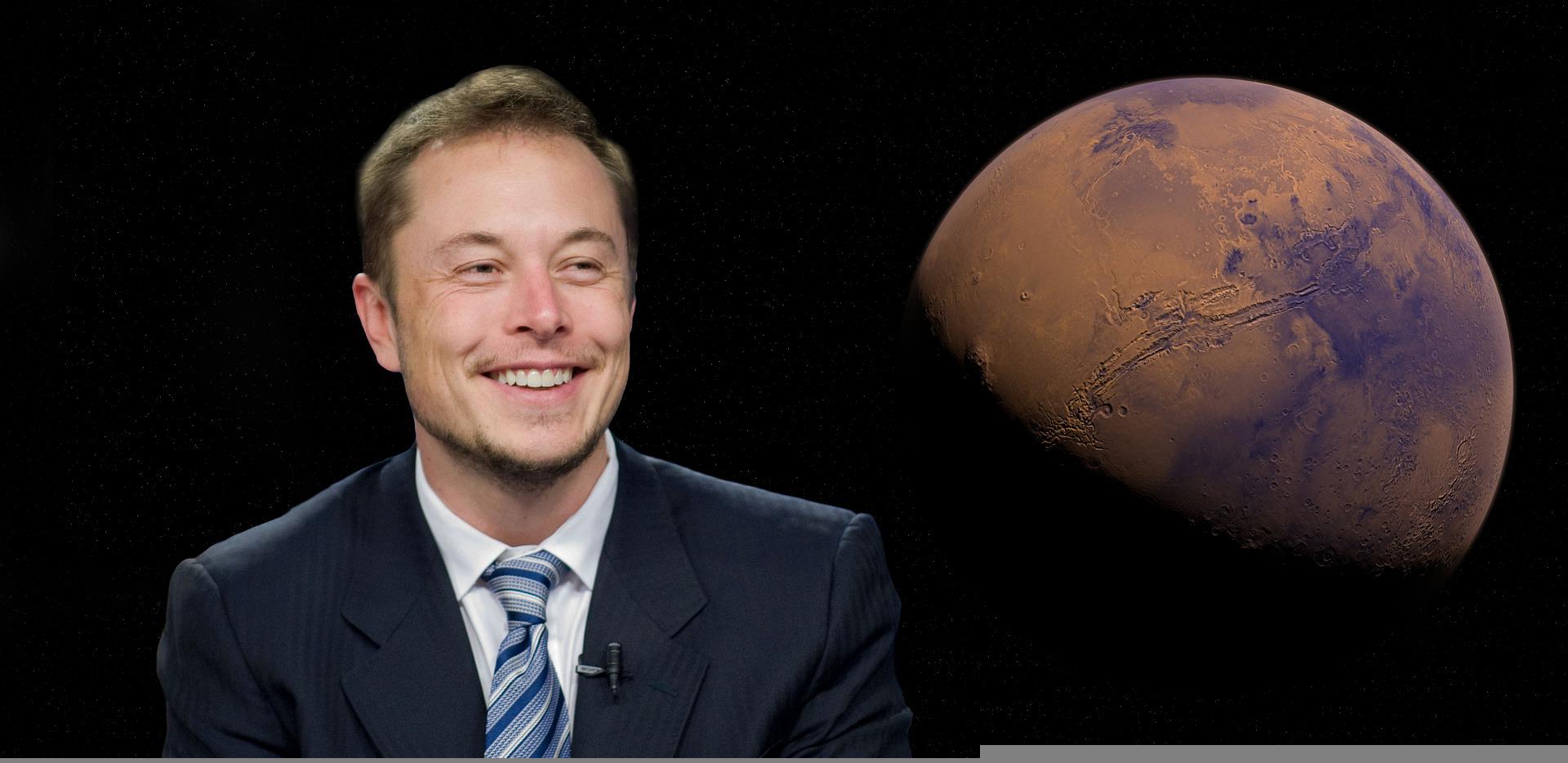 elon twitter