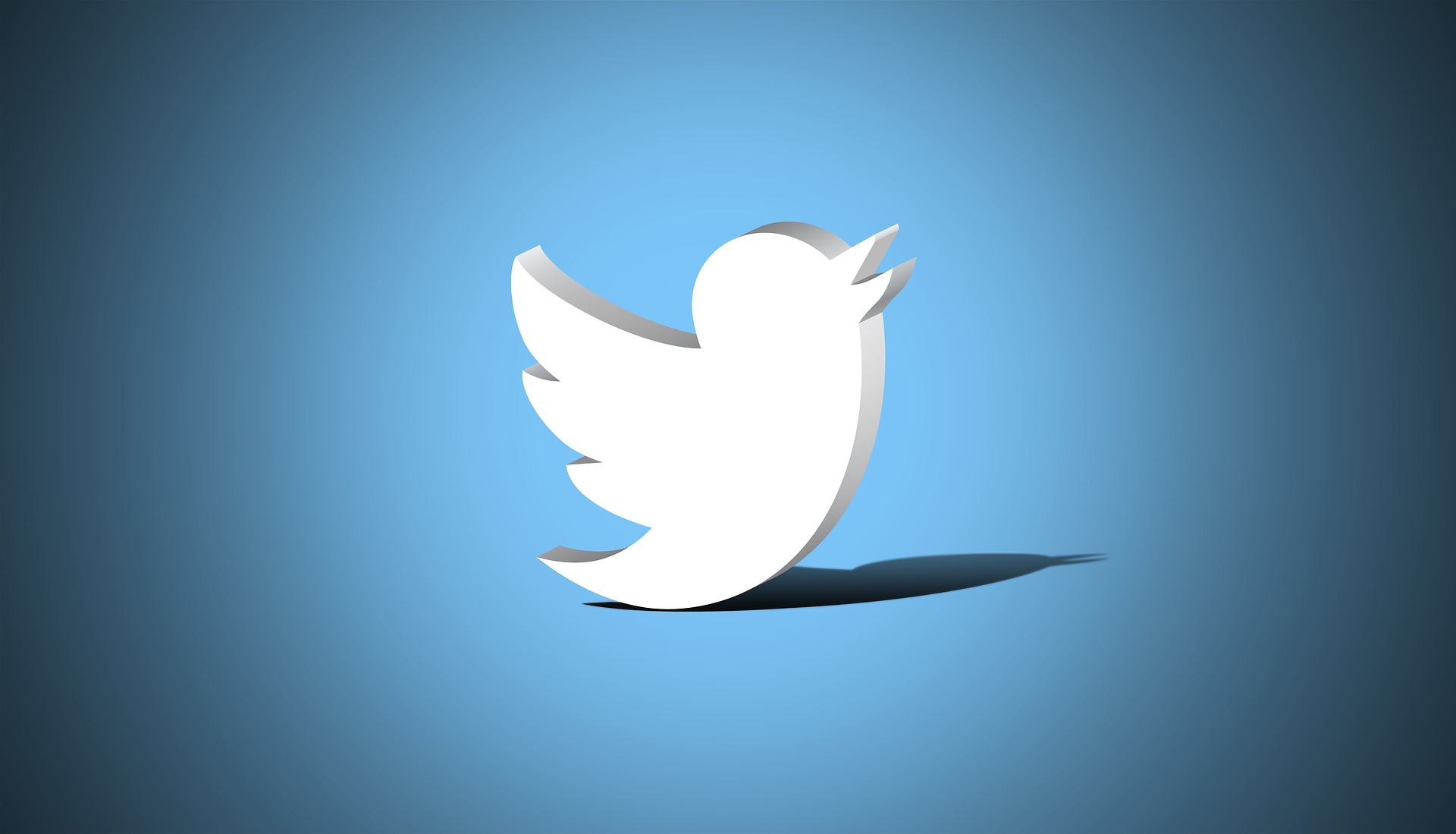 elon twitter
